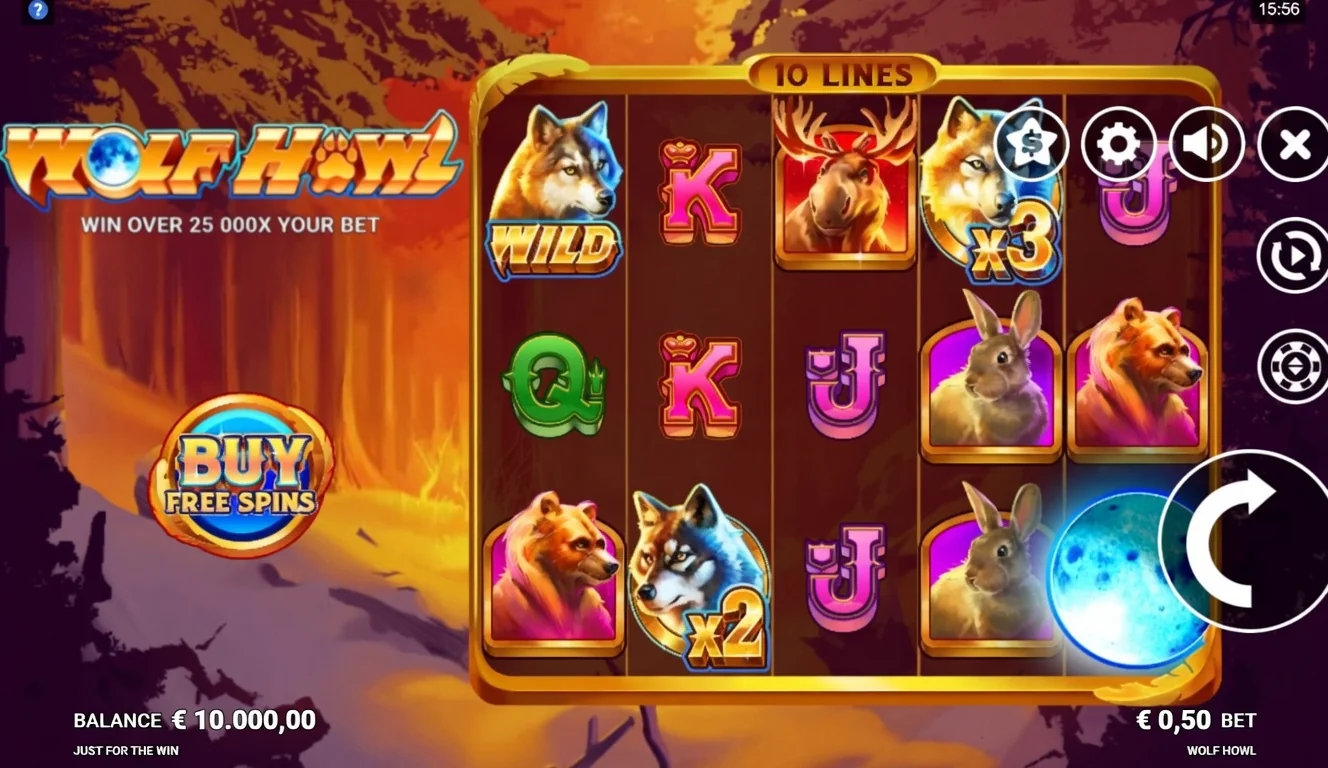 Bonuses and symbols