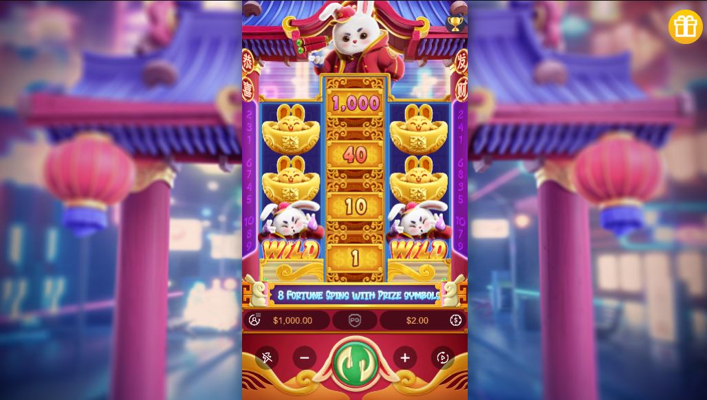 Bonuses and symbols