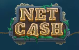 Net Cash