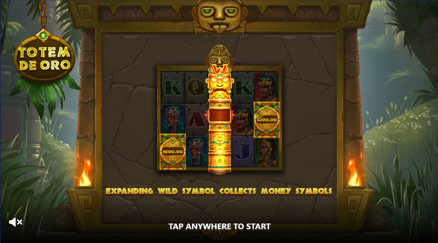 Bonuses and symbols
