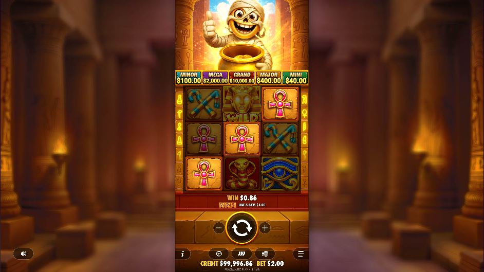 Bonuses and symbols