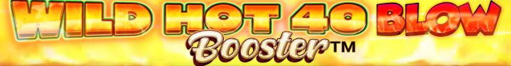 Wild Hot 40 Blow Booster
