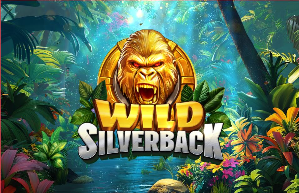 Wild Silverback