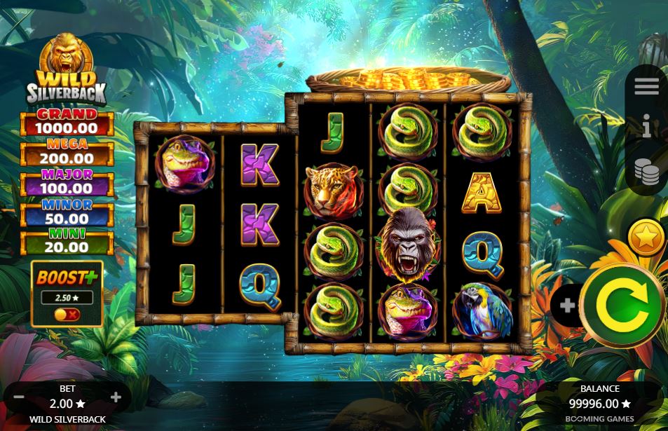 Bonuses and symbols
