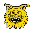 Ilves
