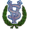 Salon Viesti (F)