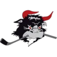 Rødovre Mighty Bulls