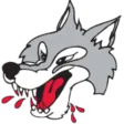 Sudbury Wolves (youth)