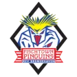 Fischtown Pinguins