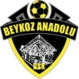 Beykoz Anadoluspor
