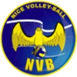 Nice Volley Ball