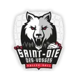 Saint-Dié (F)