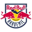 Red Bull Hockey Juniors