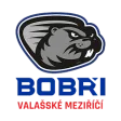 HC Bobri Valasske Mezirici