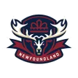 Newfoundland Regiment