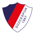Düzcespor