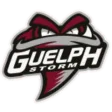 Guelph Storm (youth)