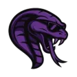 Team Cobra