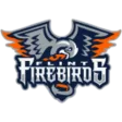Flint Firebirds (youth)