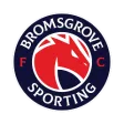 Bromsgrove Sporting