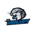 Kralupy nad Vltavou