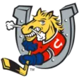 Barrie Colts (youth)
