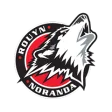 Rouyn Noranda Huskies