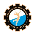 Stal Mielec (F)