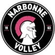 Narbonne Volley