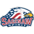 Saginaw Spirit (youth)