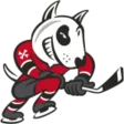 Niagara IceDogs (youth)