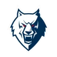 Neftekhimik