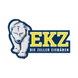 Zeller Eisbaren