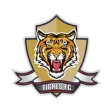 টাইগ্রেস