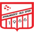 Ayvalıkgücü