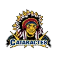 Shawinigan Cataractes