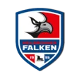 Heilbronner Falken